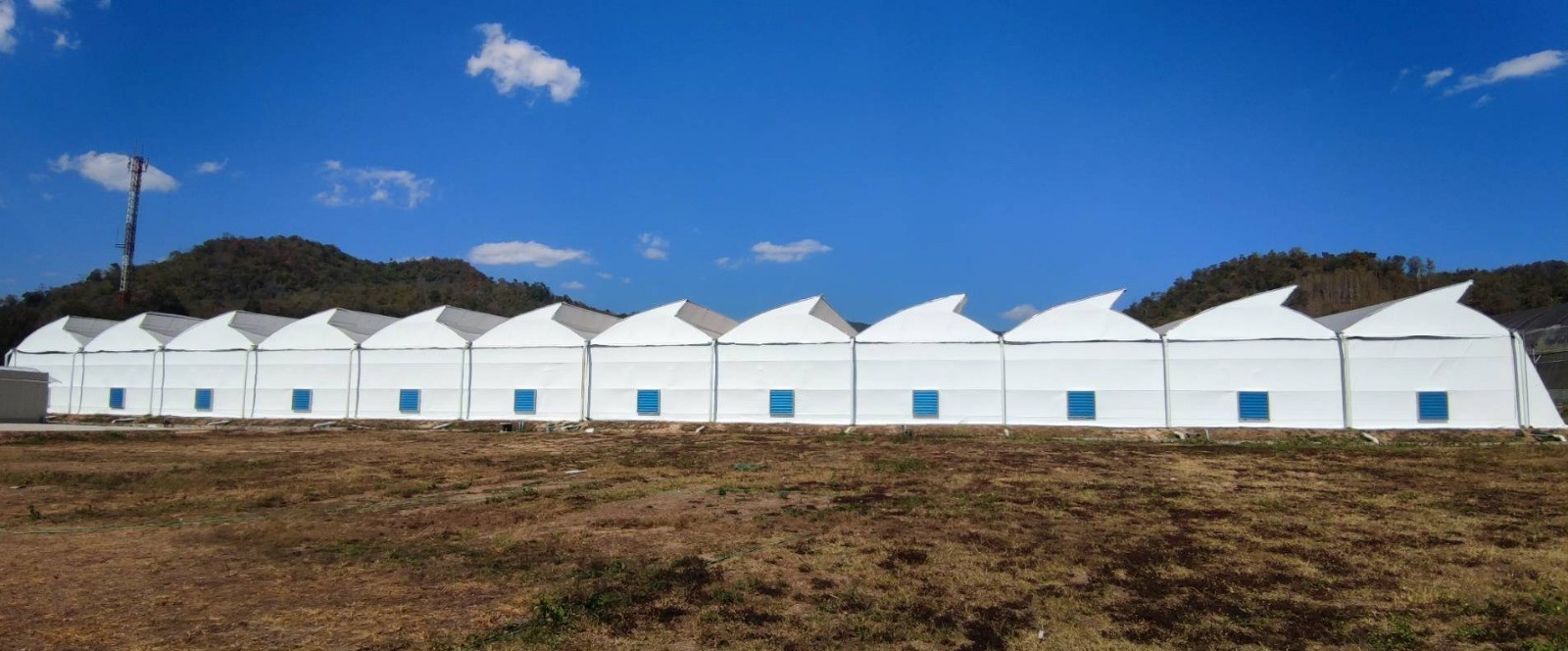 Succes Retrofit: Sere de piper negru transformate pentru cannabis